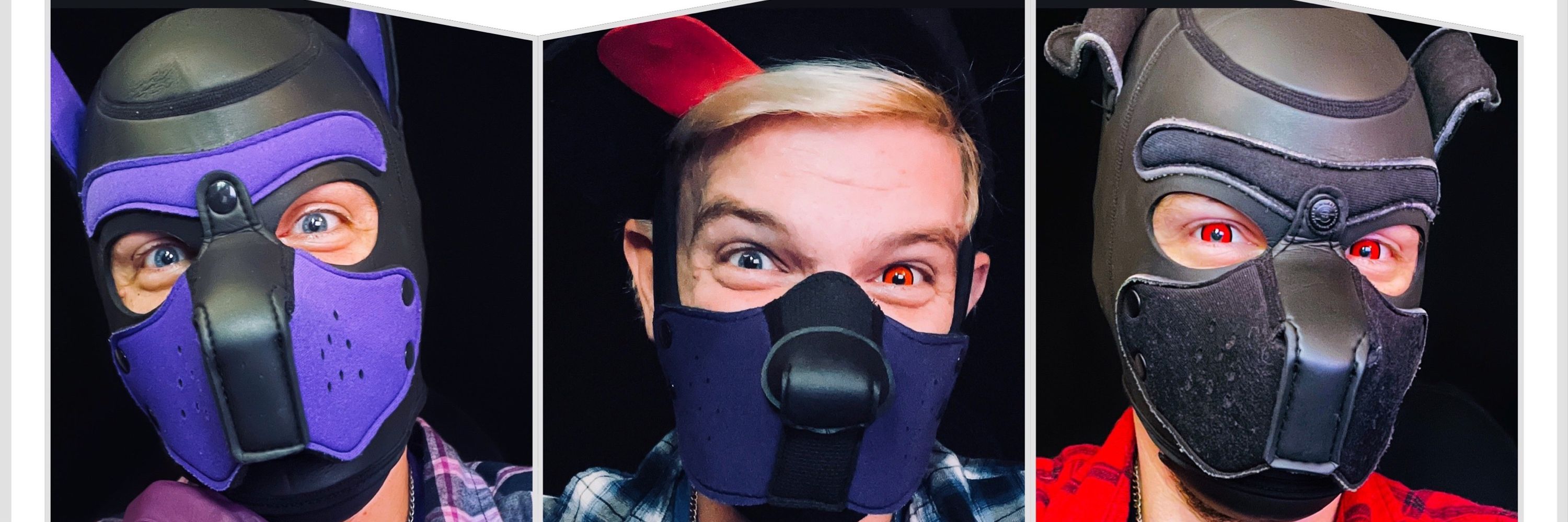 Pup Jester