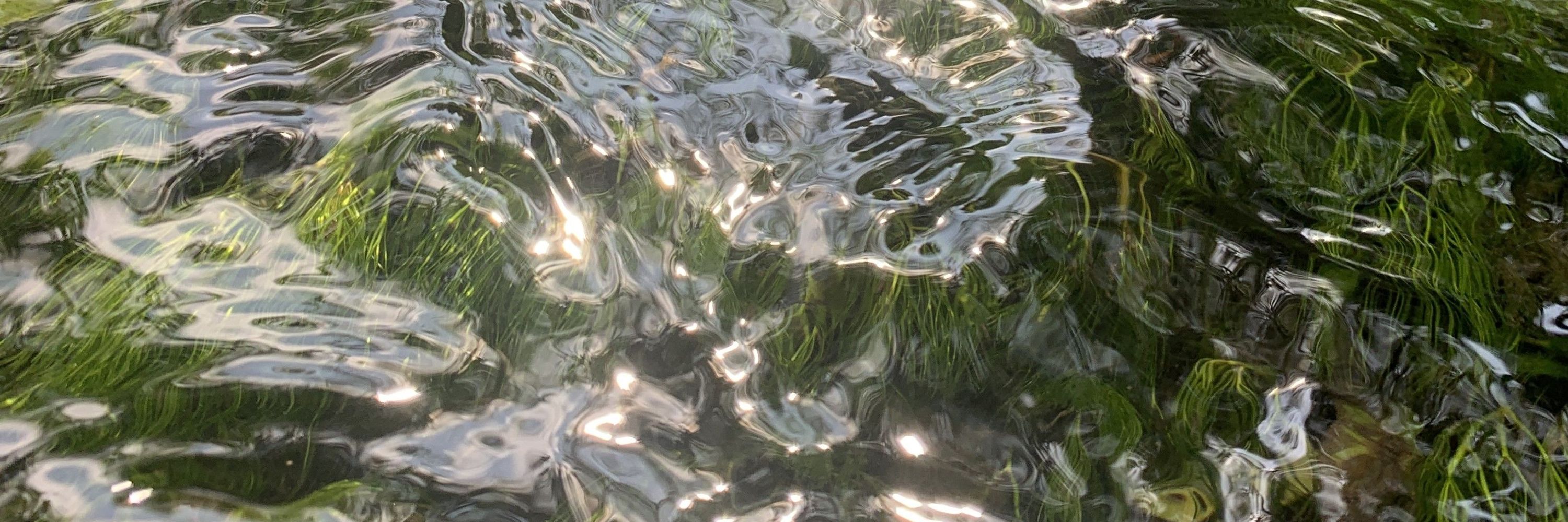 River Thame Conservation Trust