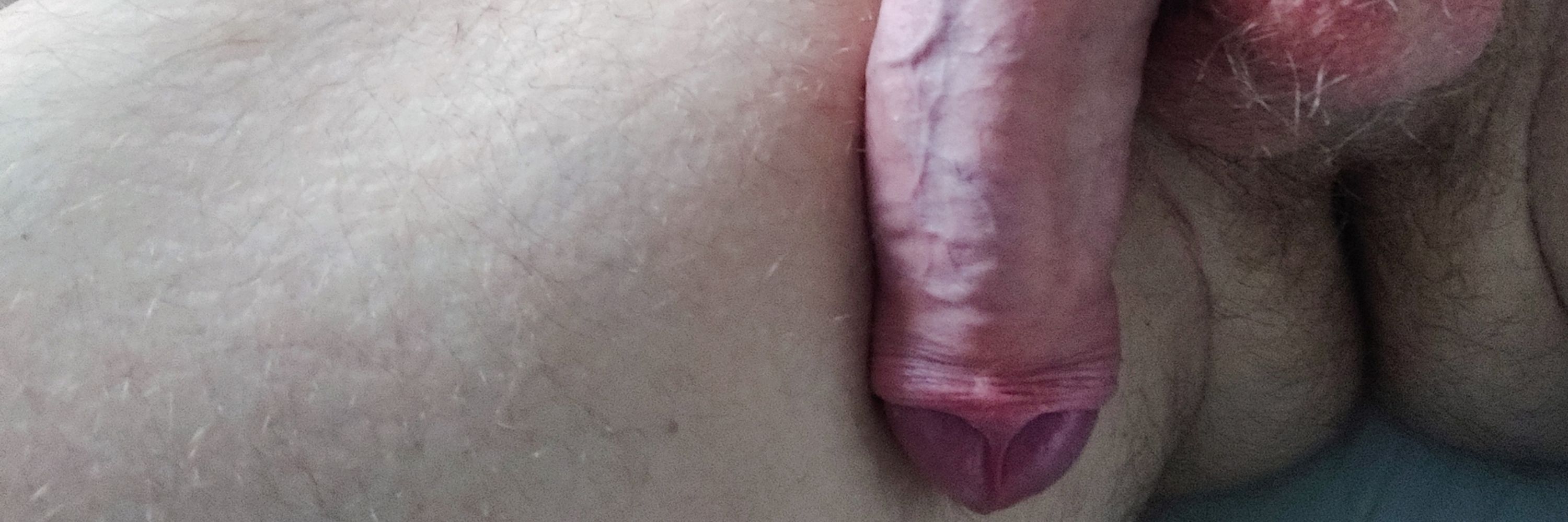 andgingery