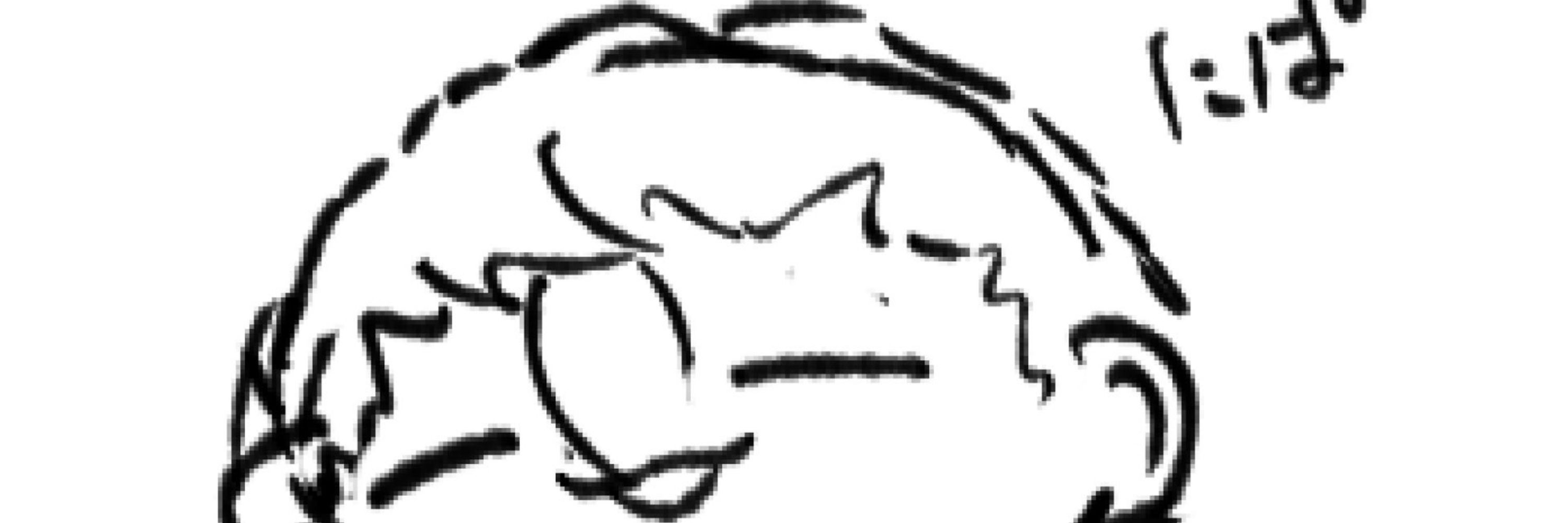 烏賊けんぴ