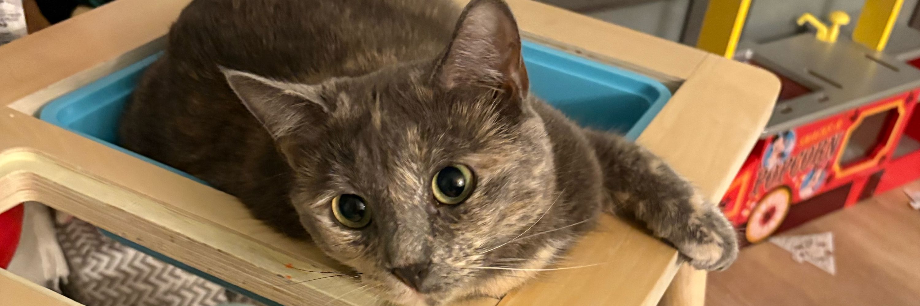 Winnie