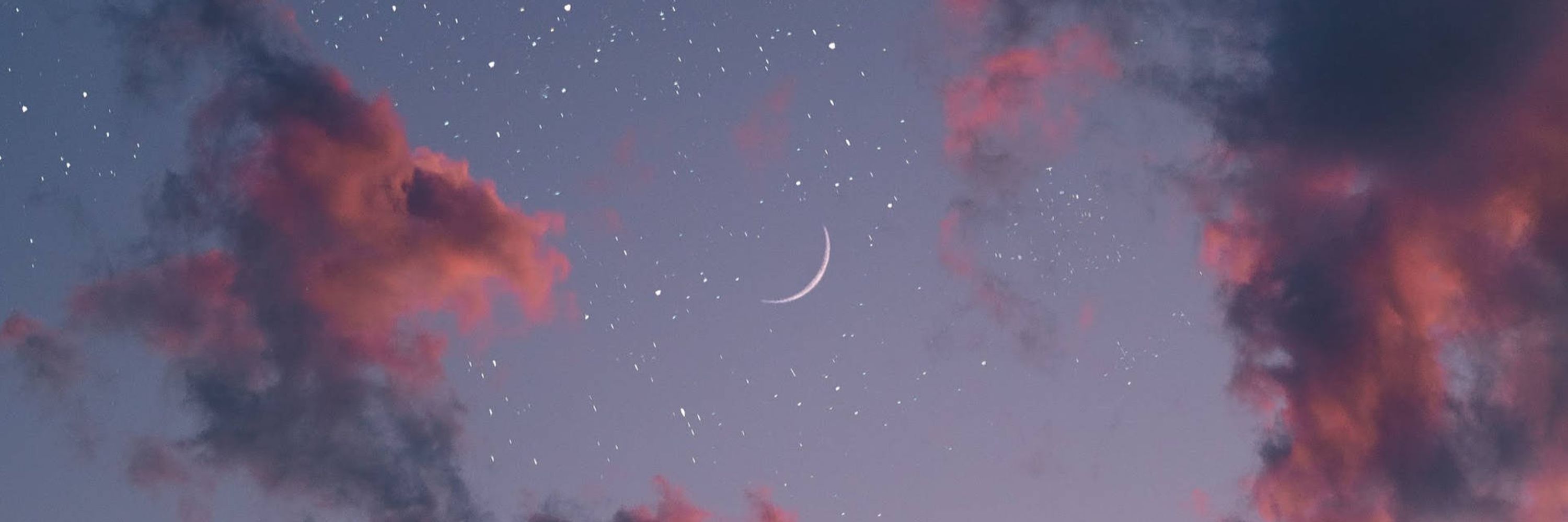 Nyx~ 💫