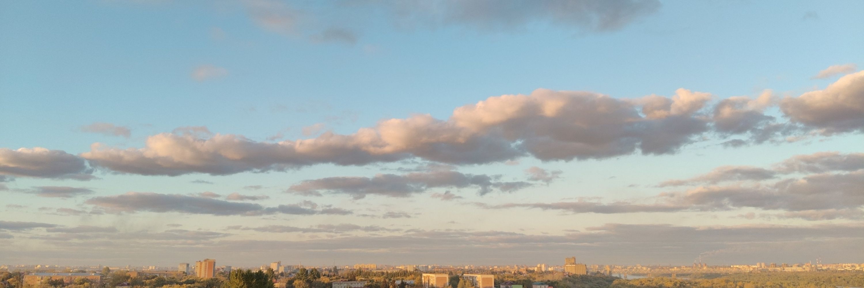 Соня