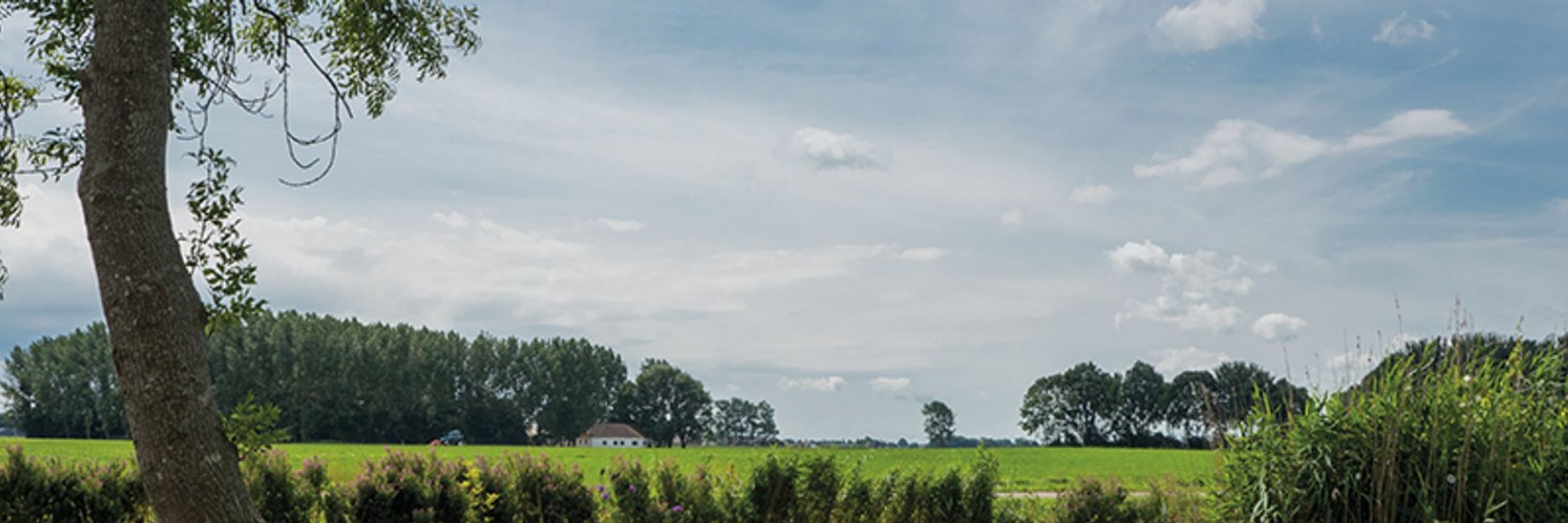 Groninger Gasberaad