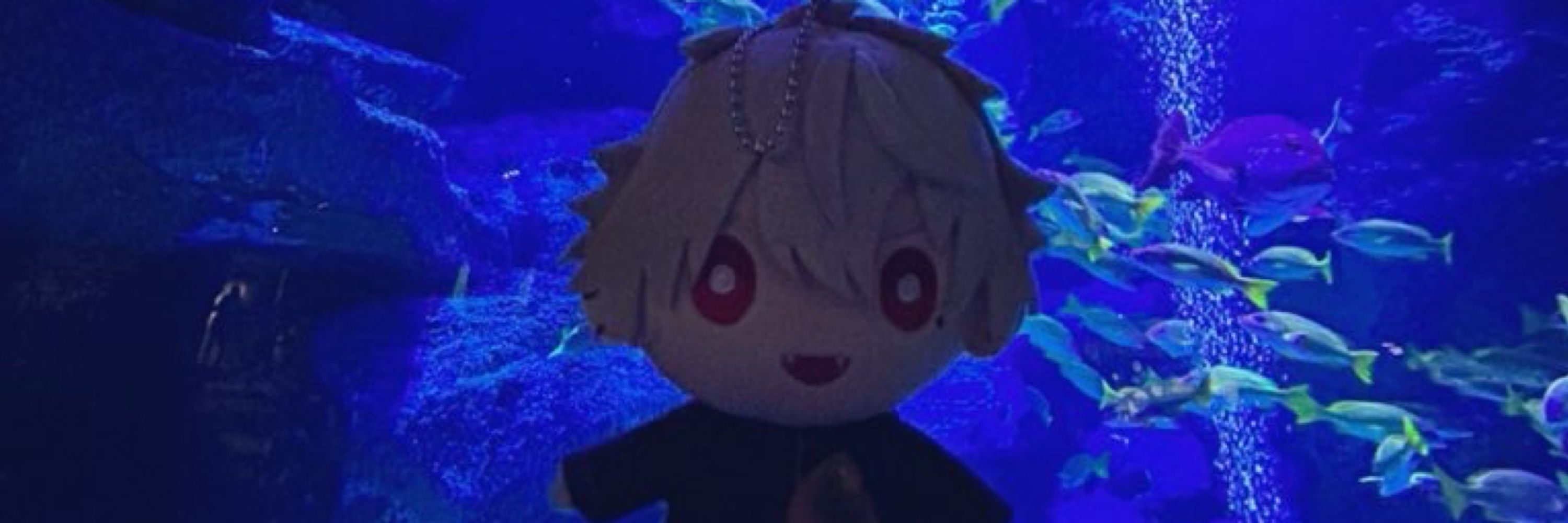 みきりん