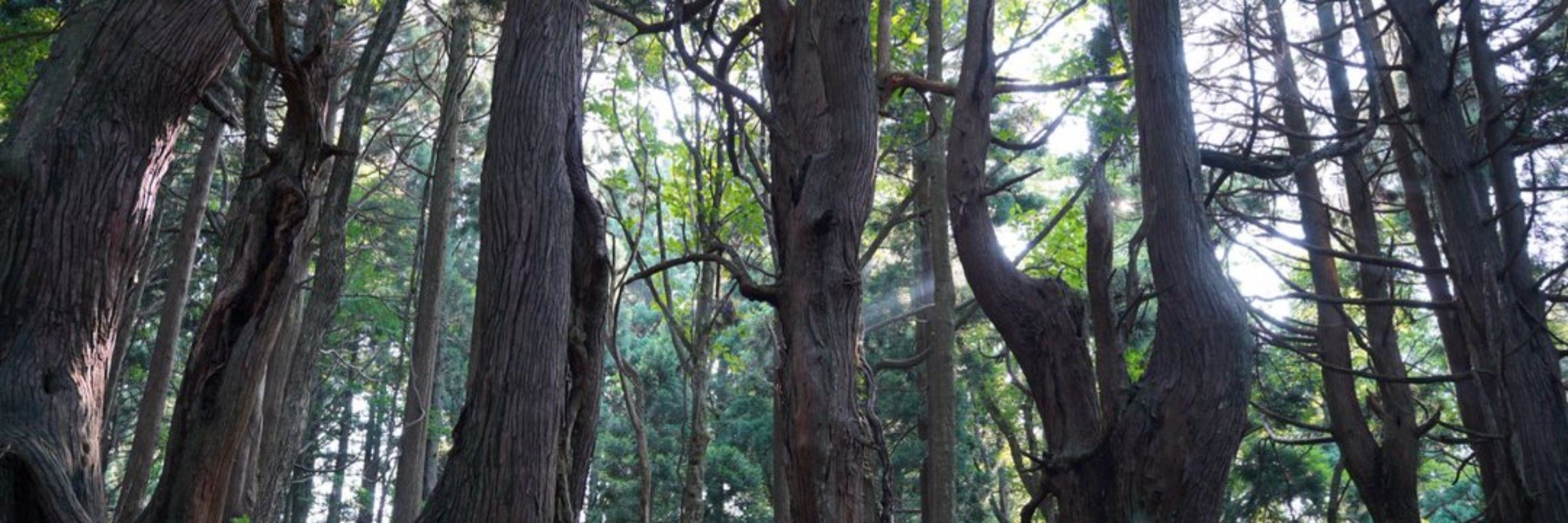荒井 和朗