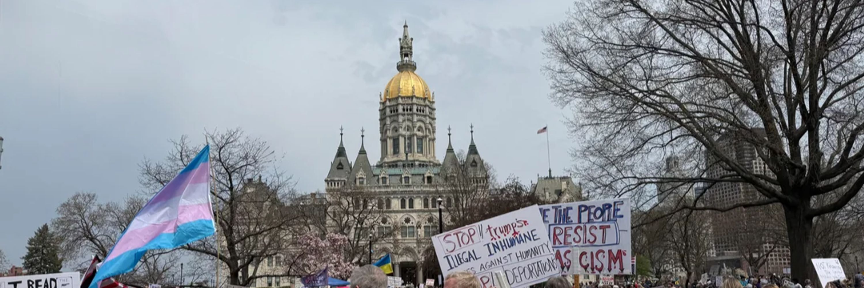 Connecticut Protest Bulletin
