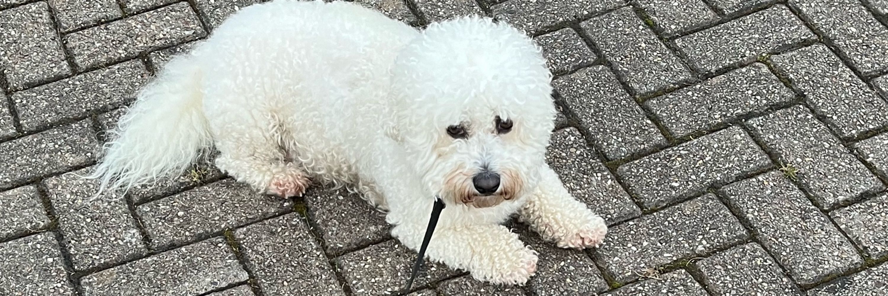 Debbie