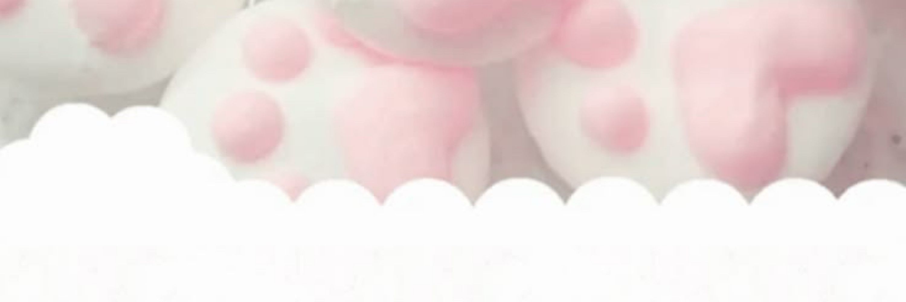 Meowz || ˖ ᡣ𐭩 ⊹ ࣪ ౨ৎ˚₊🎀🍰