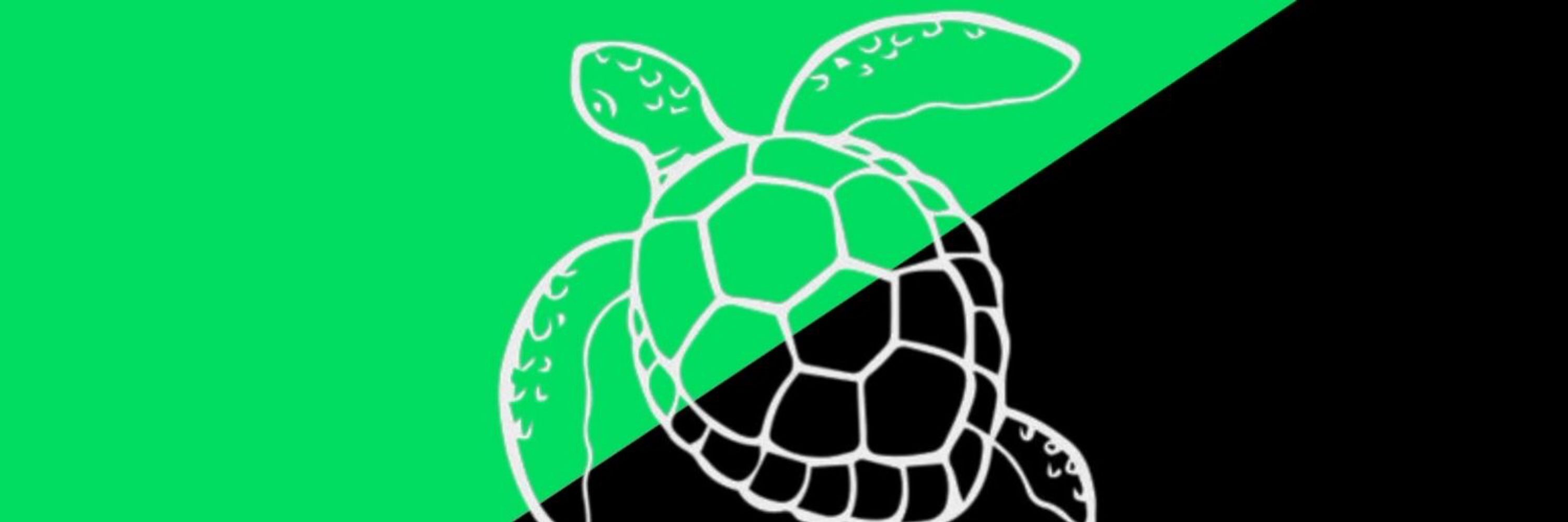 Alex 🏴Ⓐ🔆 (The Anarchist Turtle)