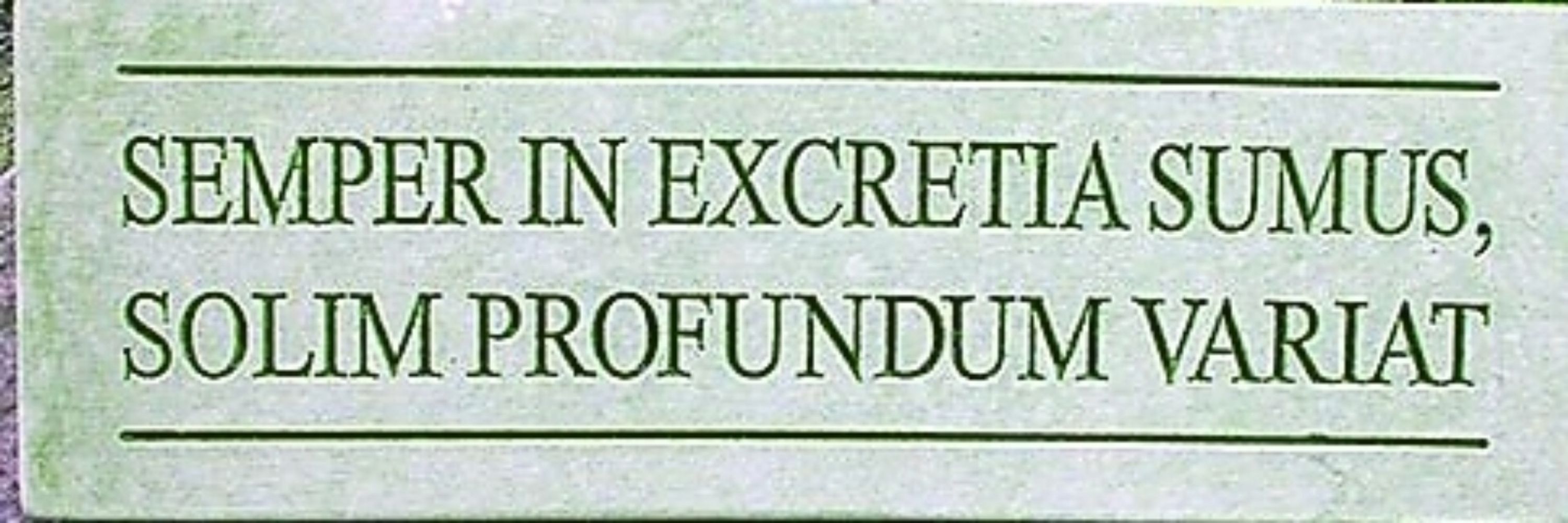 Grá 🧡