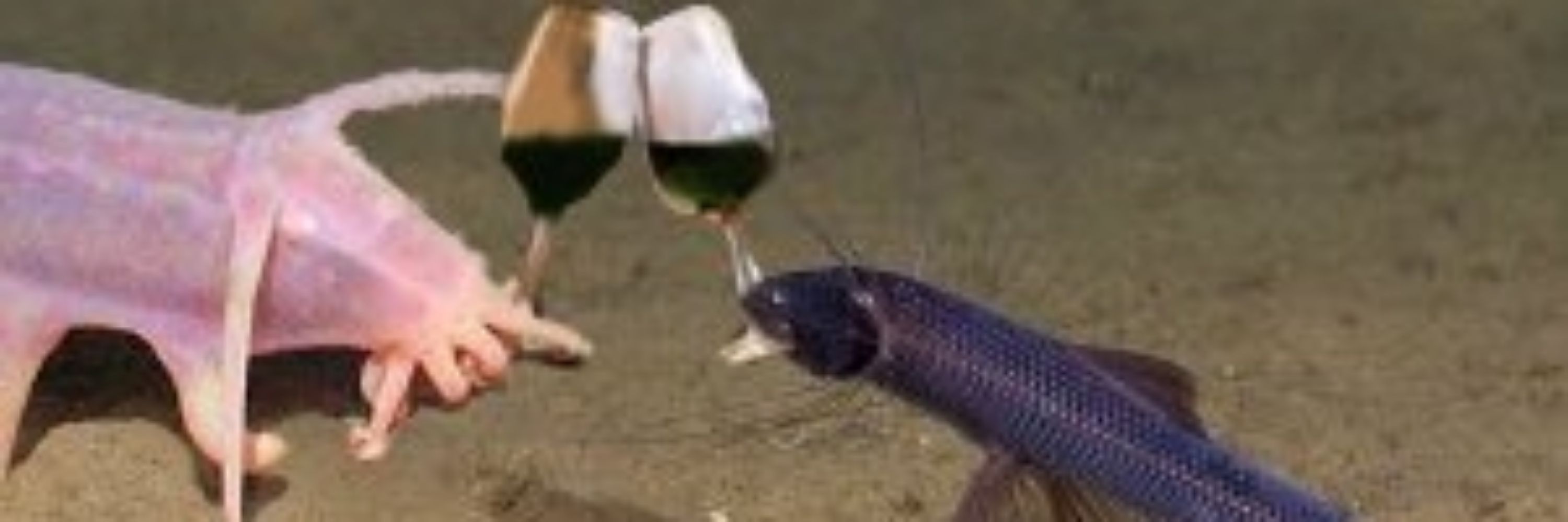 quickly eat spicy stripes