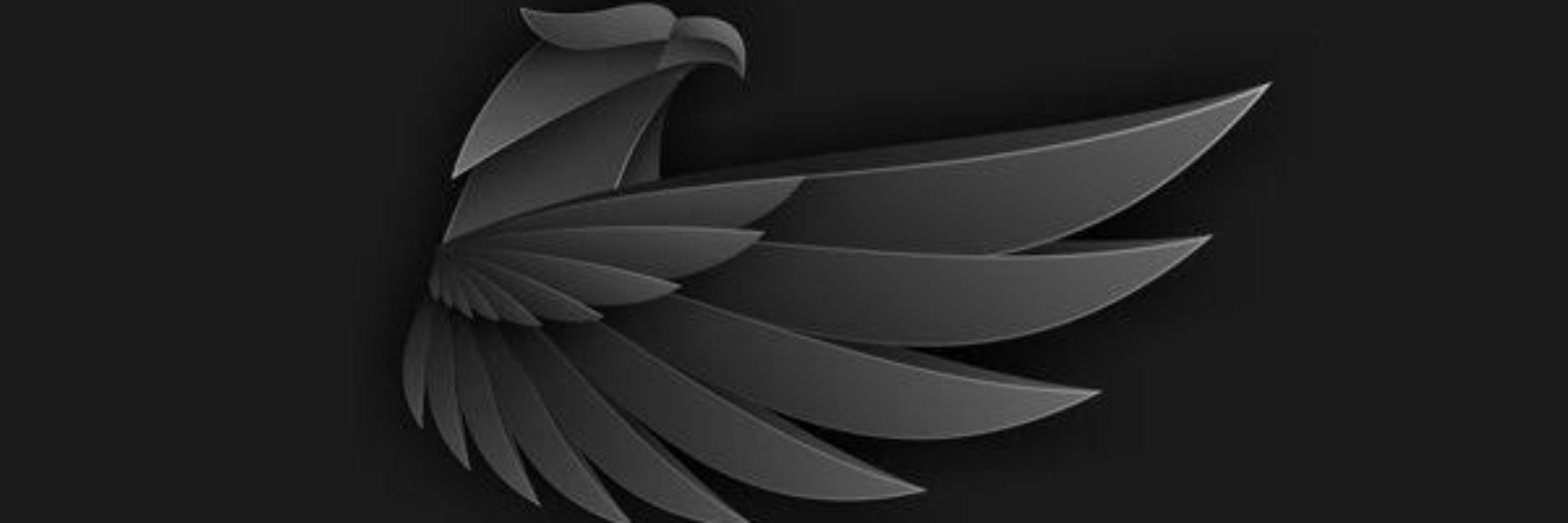 Profile banner