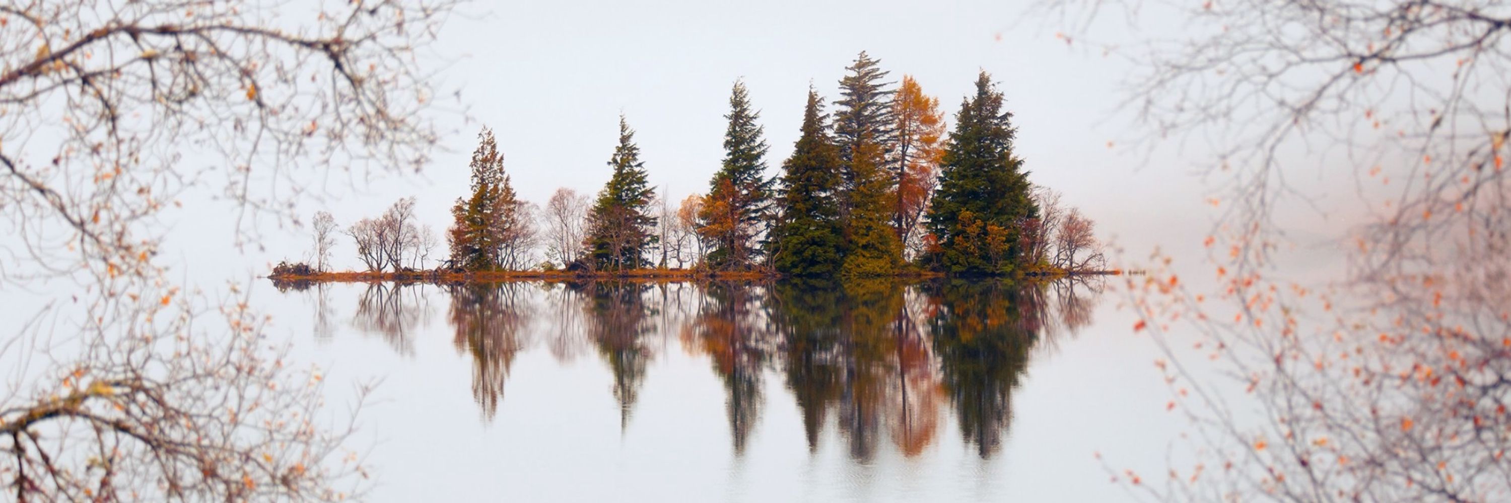 Steve Giles
