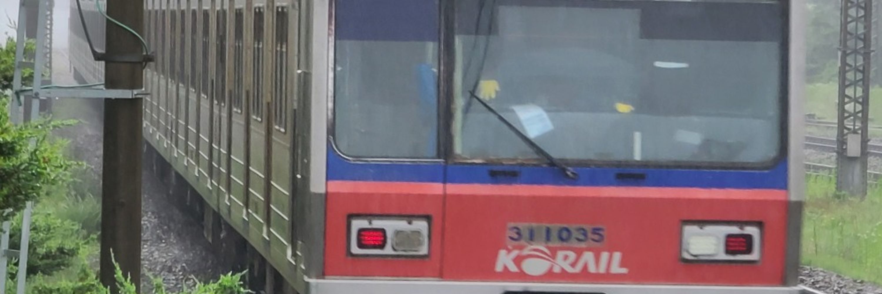 신다