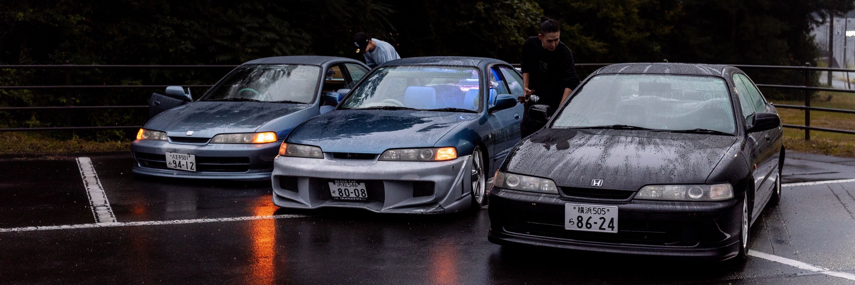 totoro