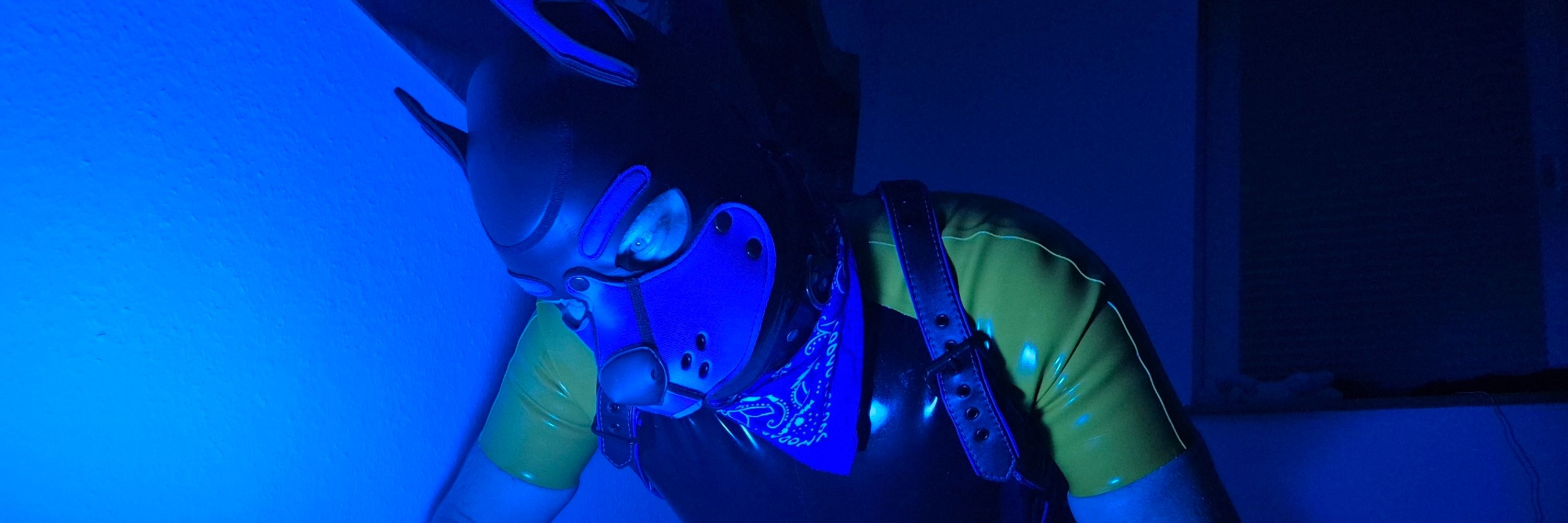 Pup Blue