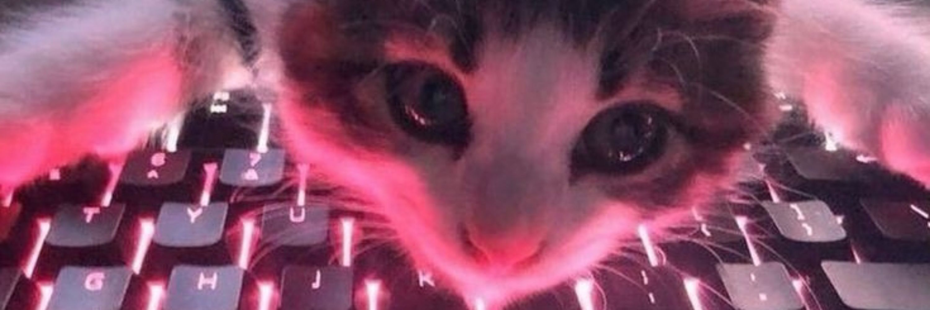 Mushø¡