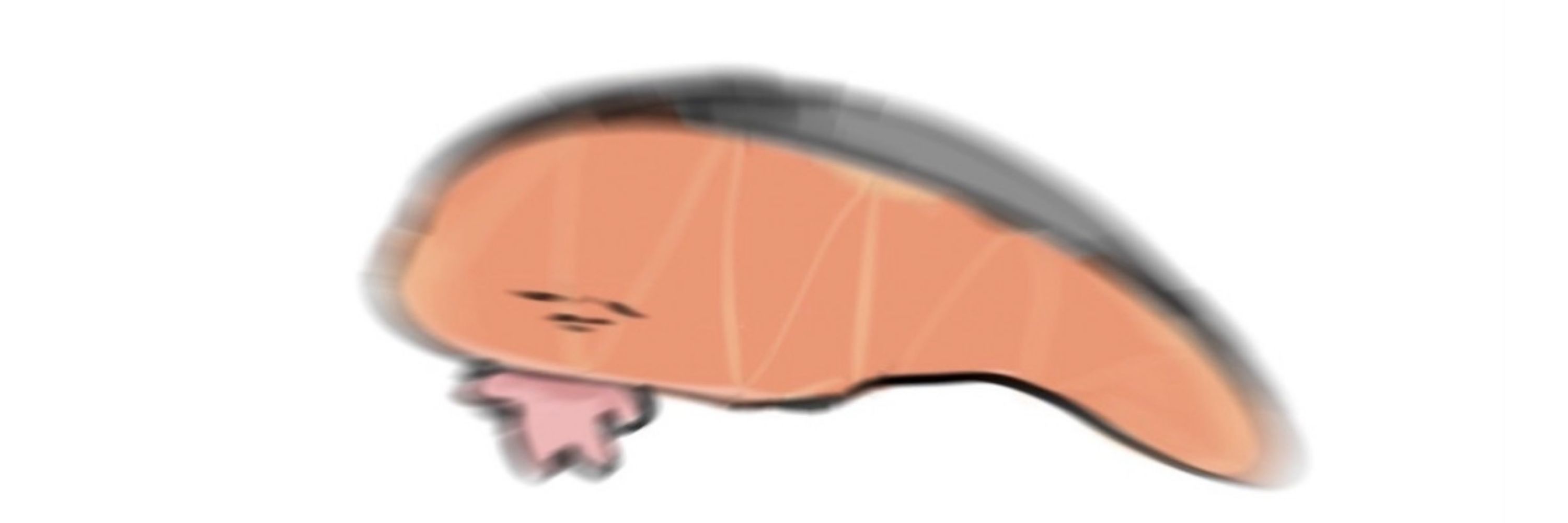 허니비