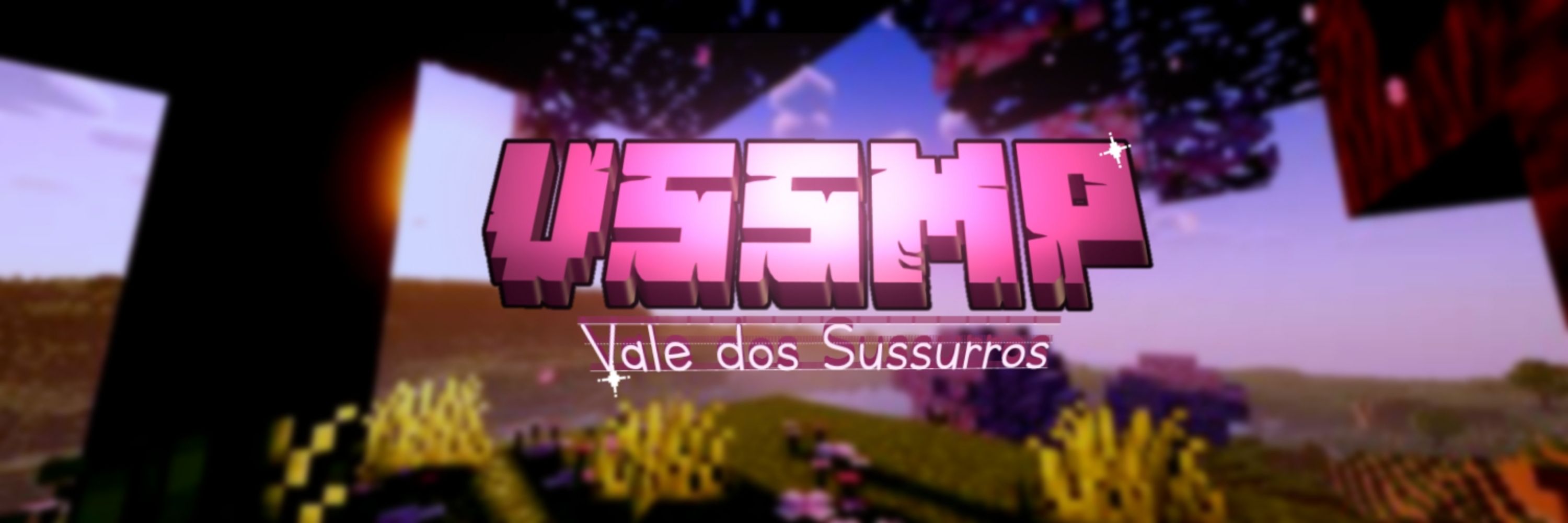 VSSMP