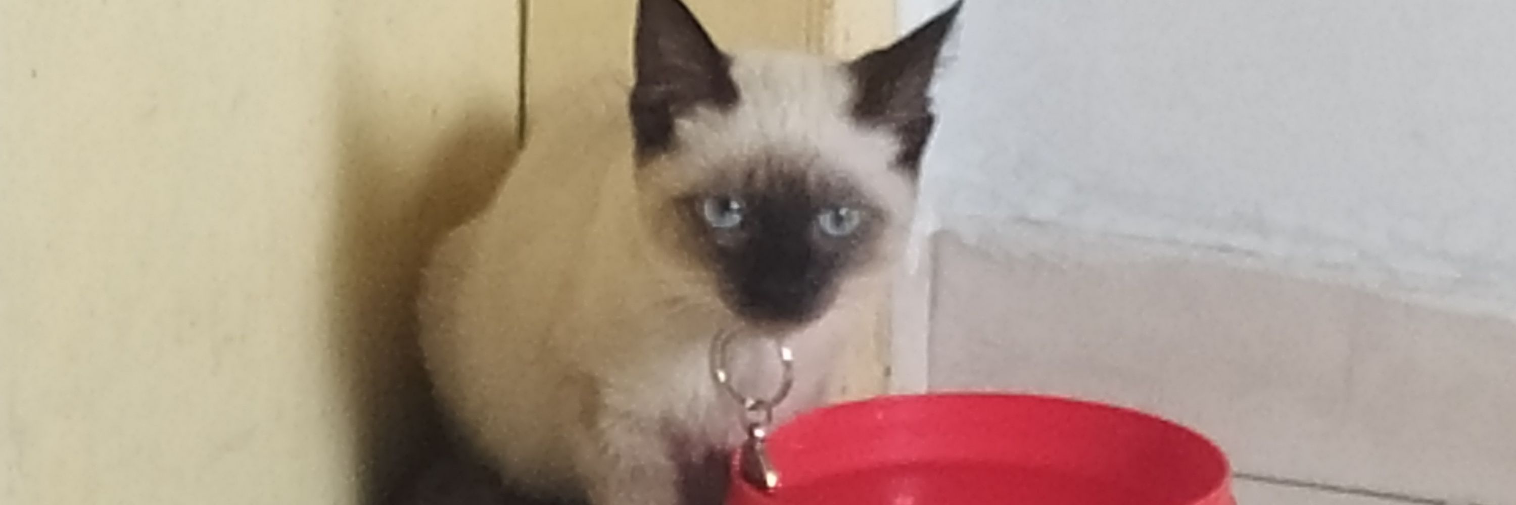 eduardo