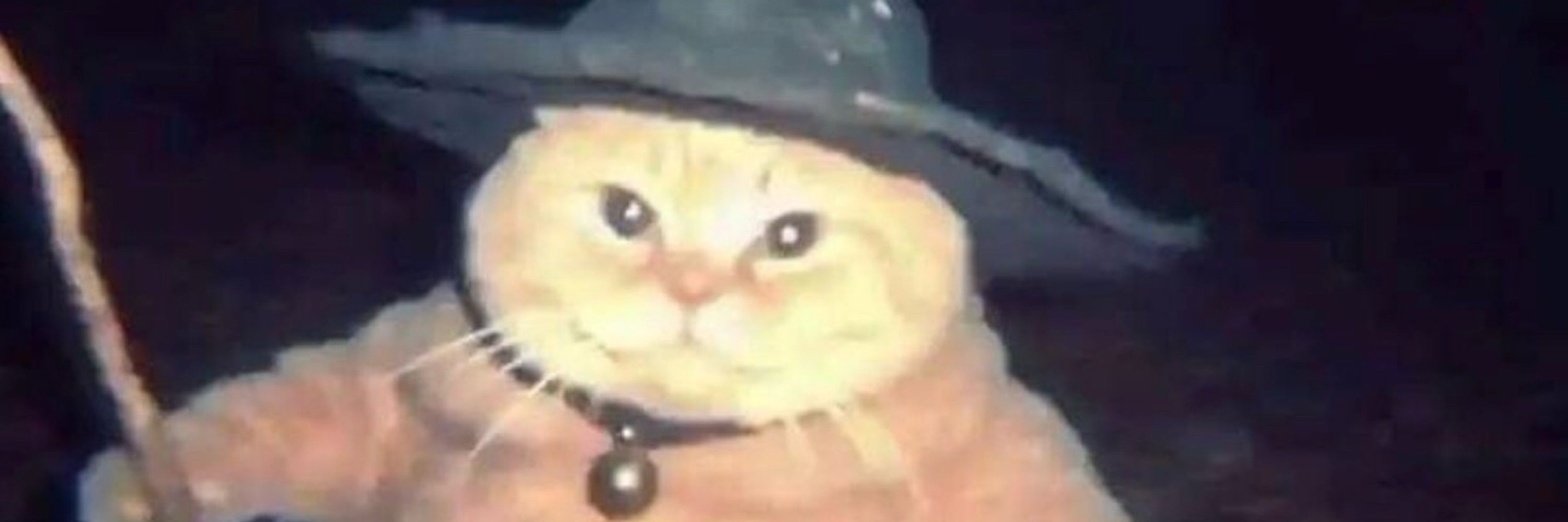 ed