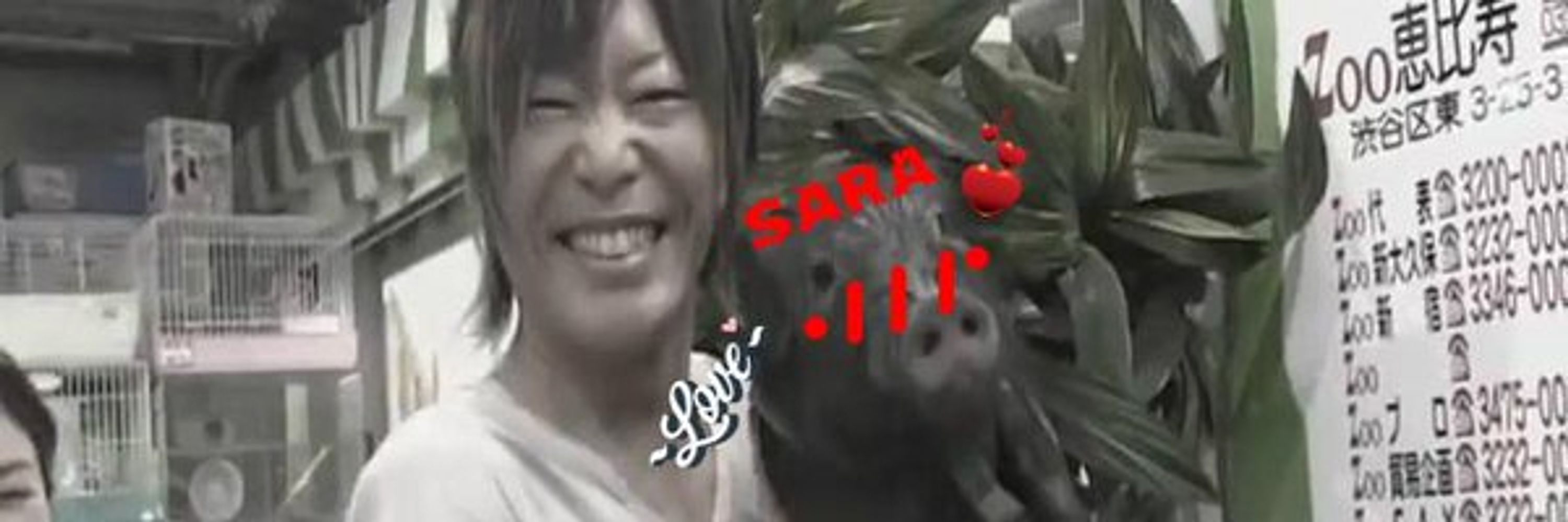 TheOnceAndFutureSara