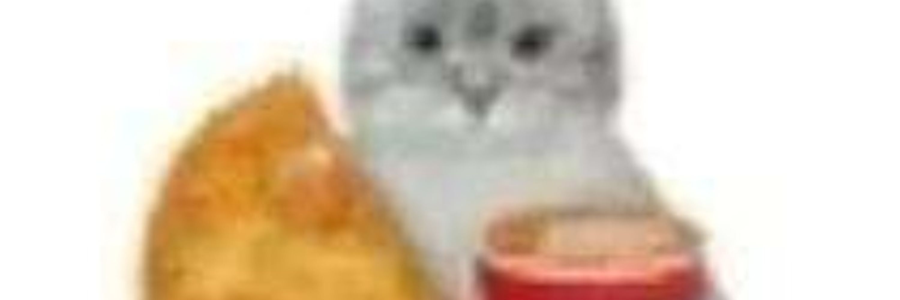 Aito