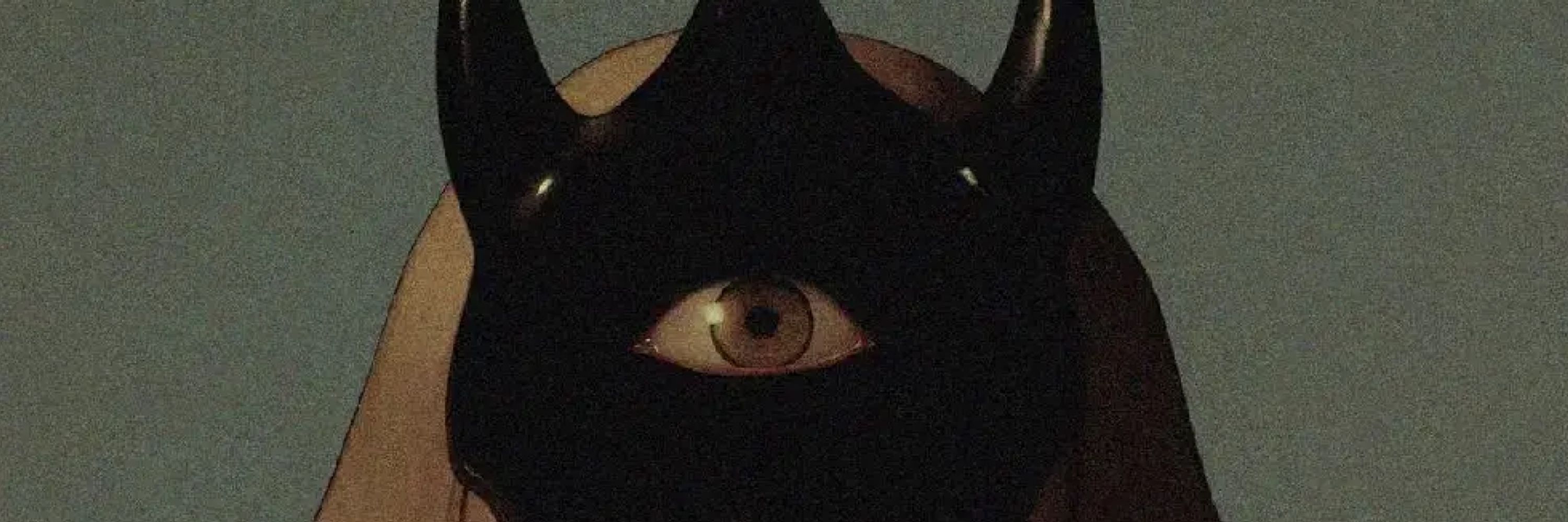 Hæll