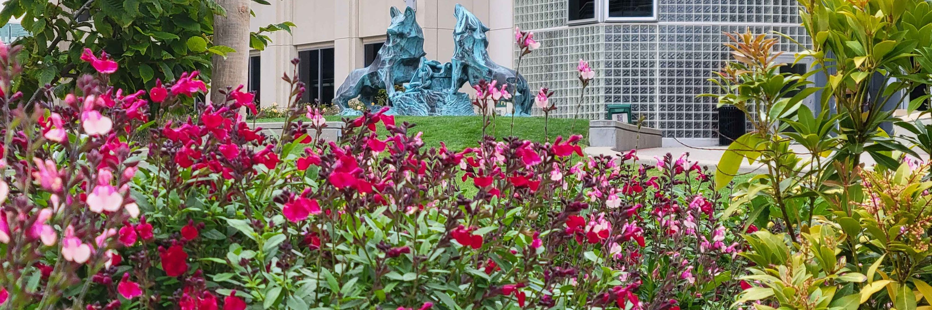 Gleeson Library | Geschke Center