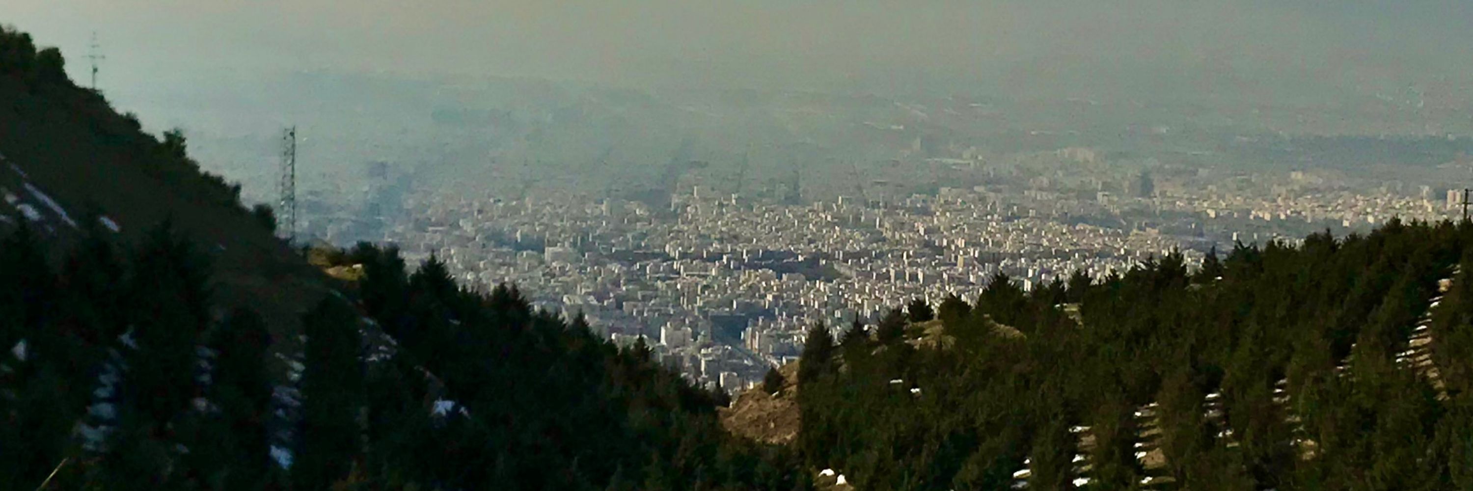 Amid farahi
