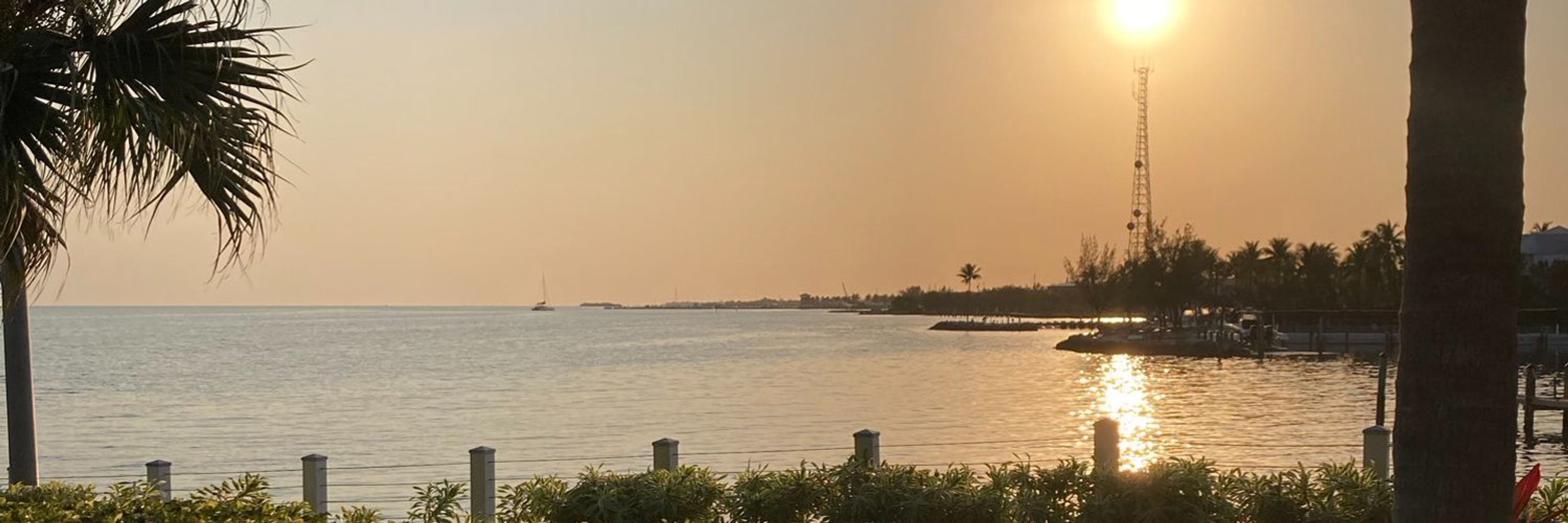 MiamiXL