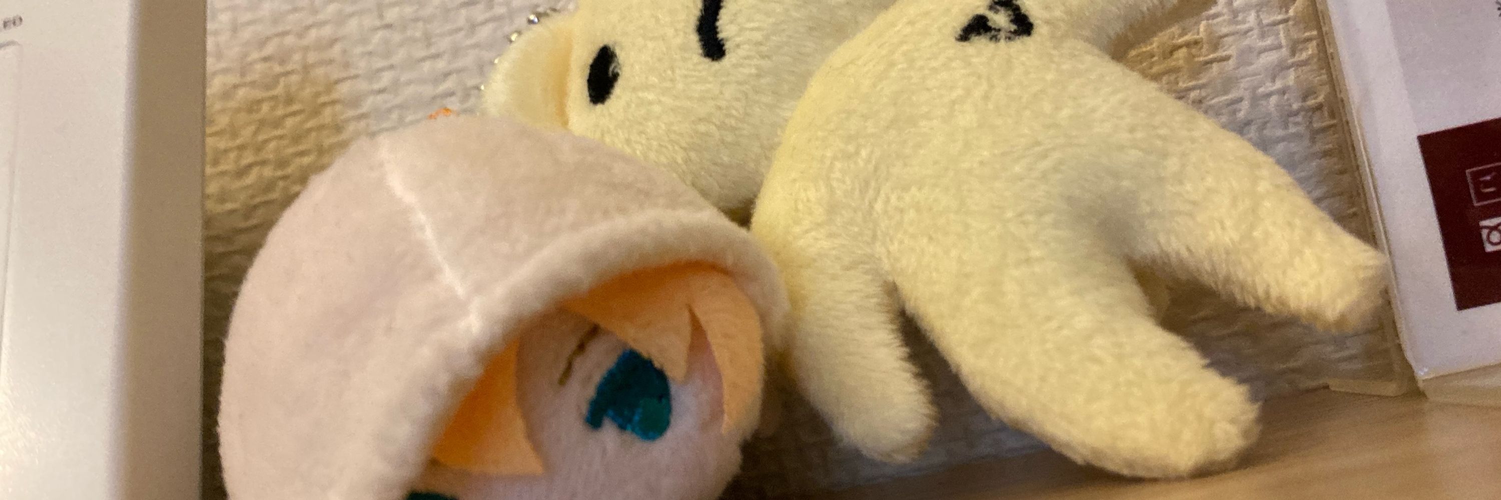 ゆきんこ