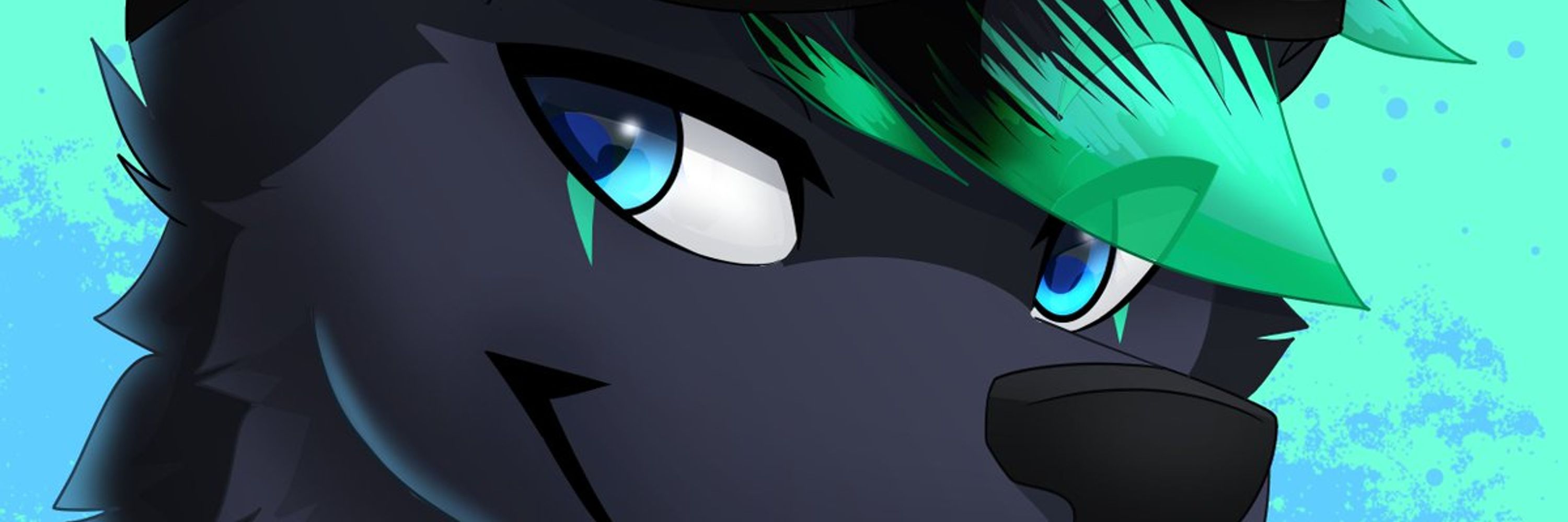 Dash