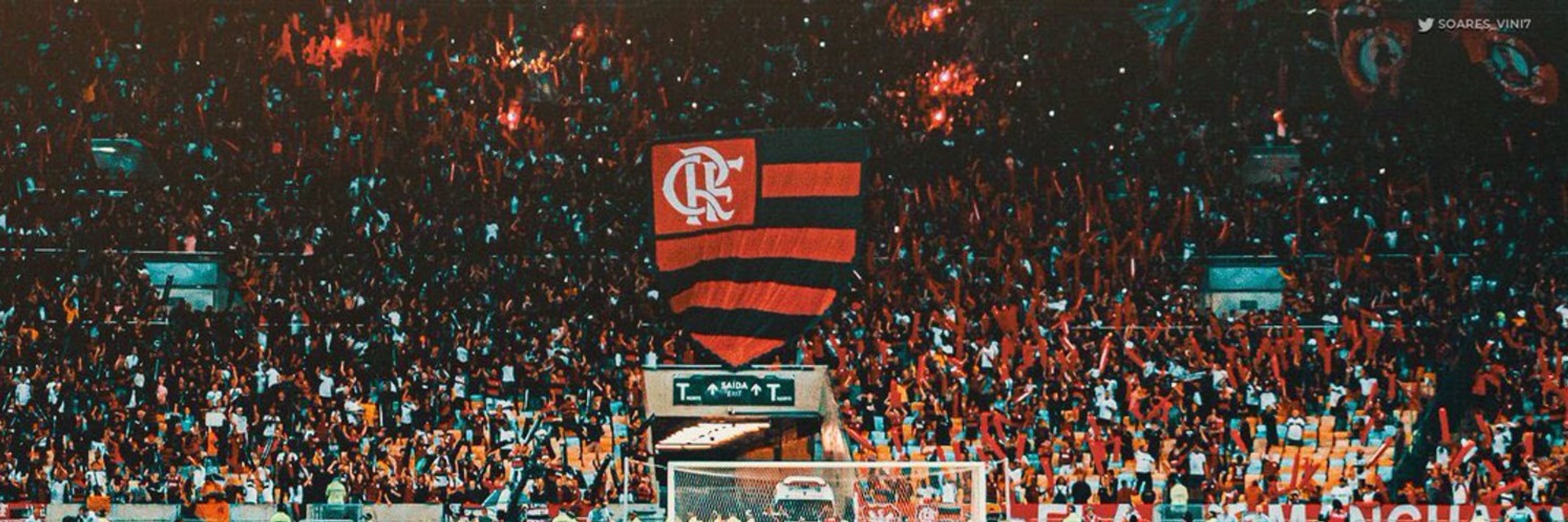 amandinha ᶜʳᶠ