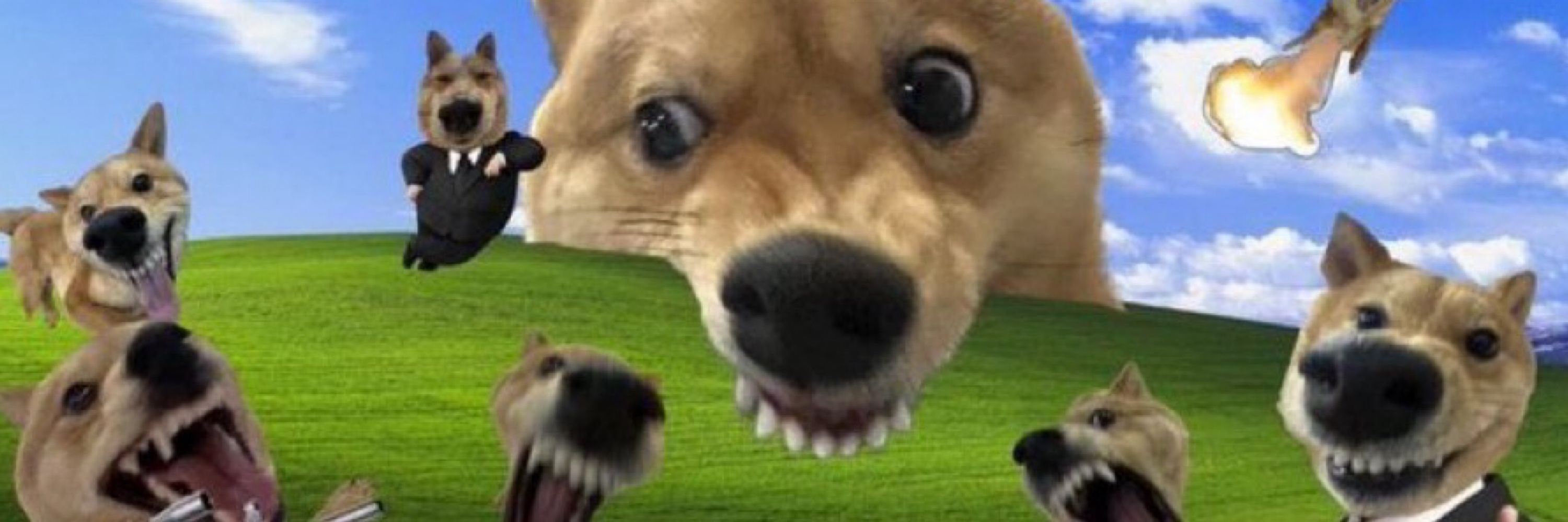 롱