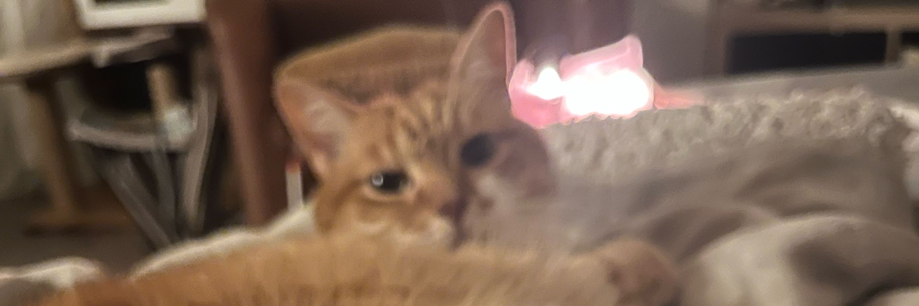 Em