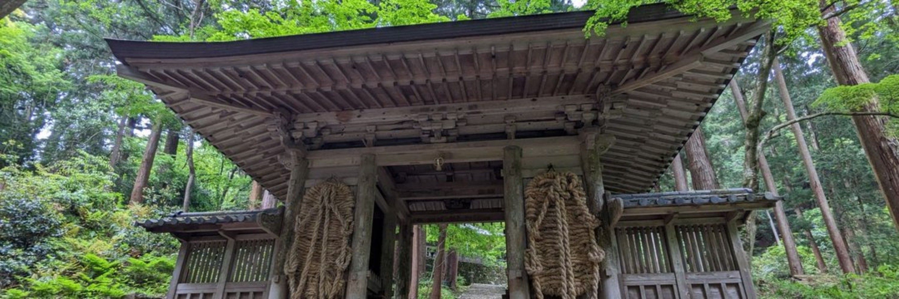 しろはち