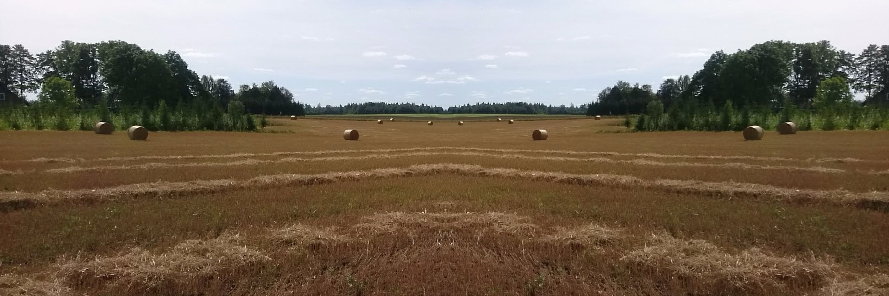 Aivar Sakk