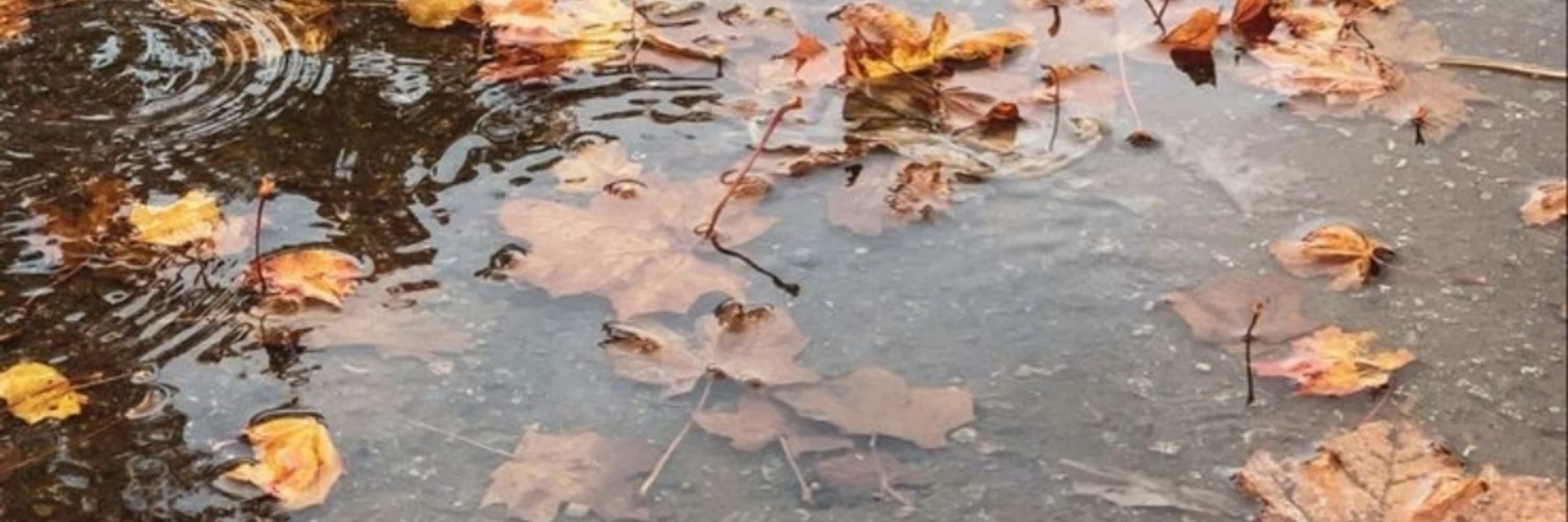 Творишки Вали｡･:*:･ﾟ’☆🍂