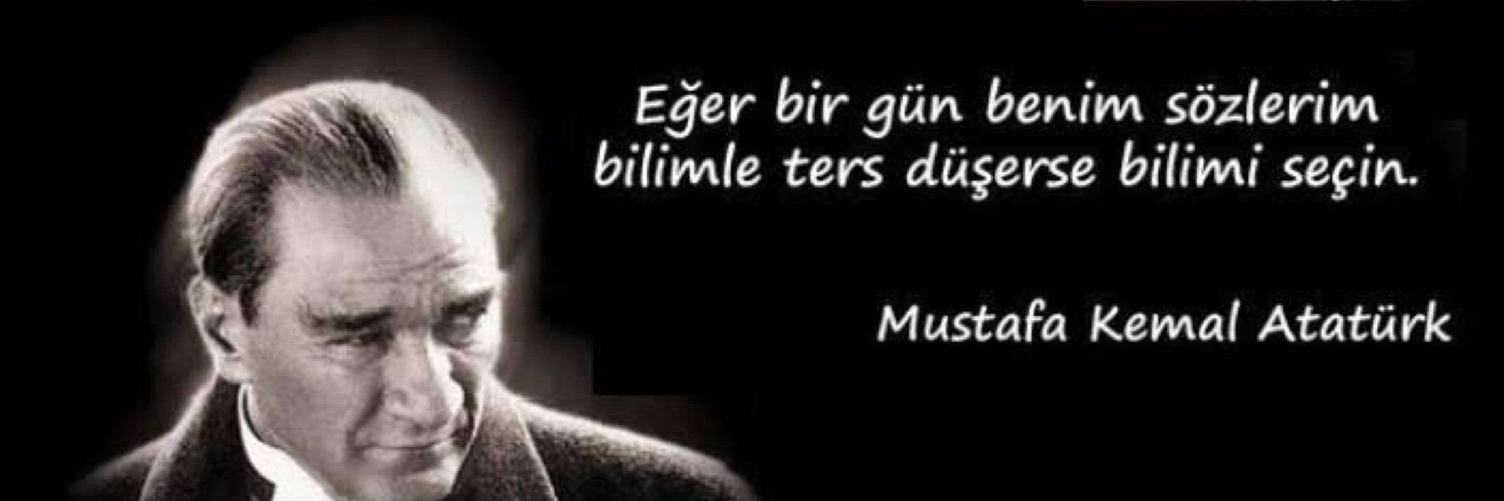 🌳 Mehmet 🌳