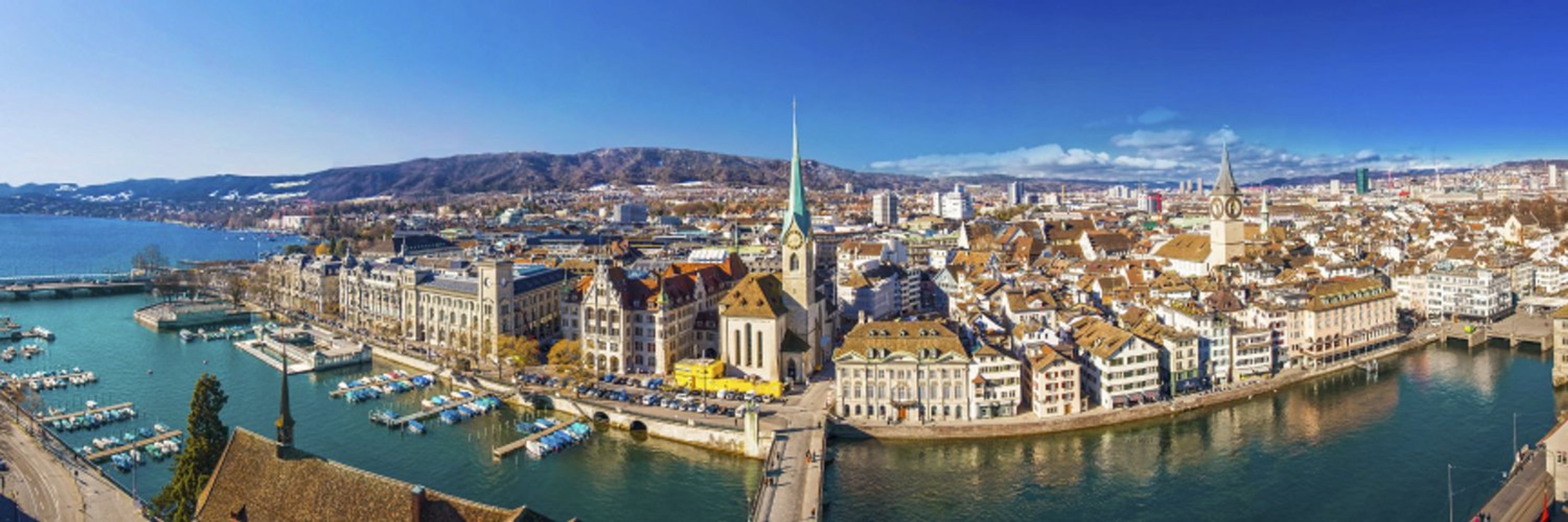 Zurich Gnome