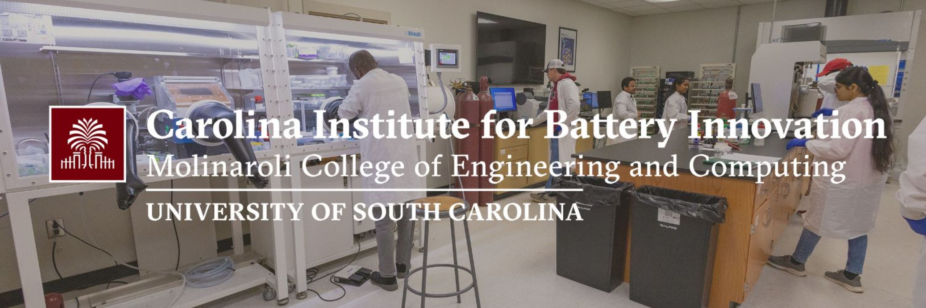 Carolina Institute for Battery Innovation
