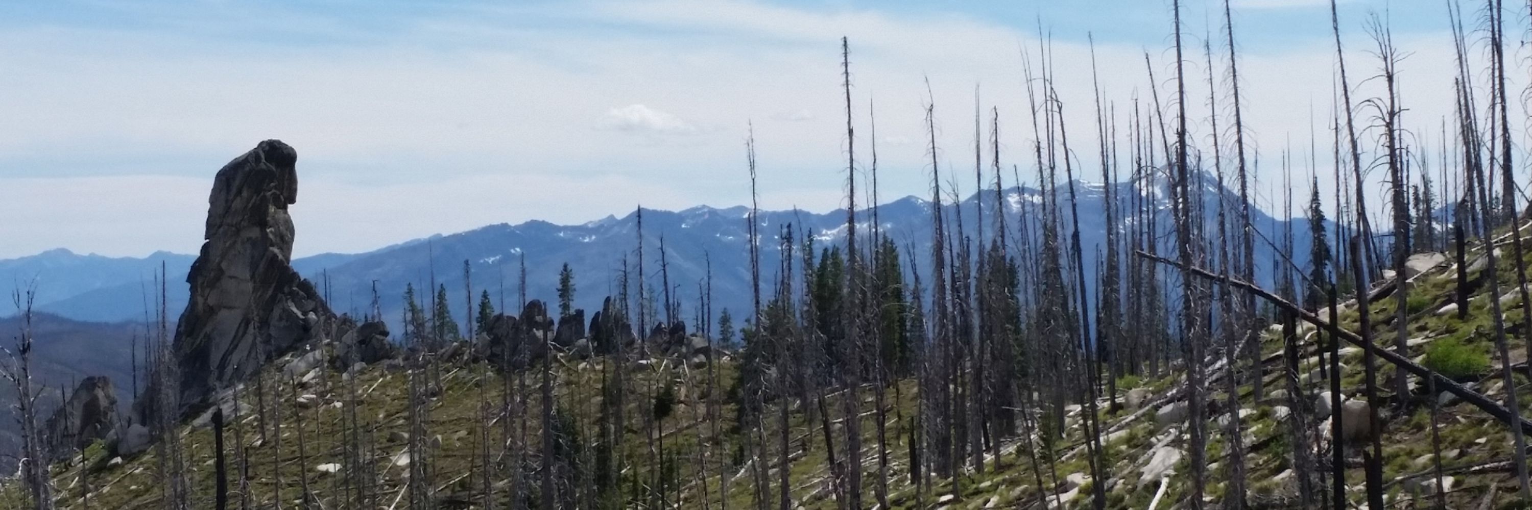 Northern Rockies Fire Science Network