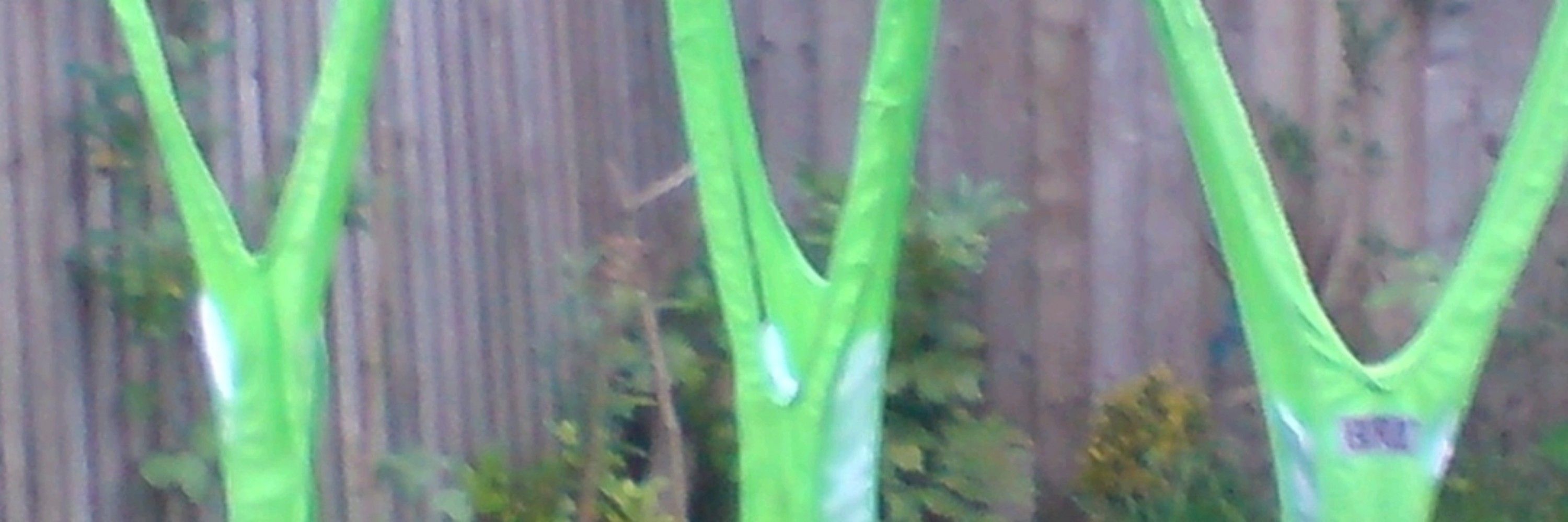collyalt