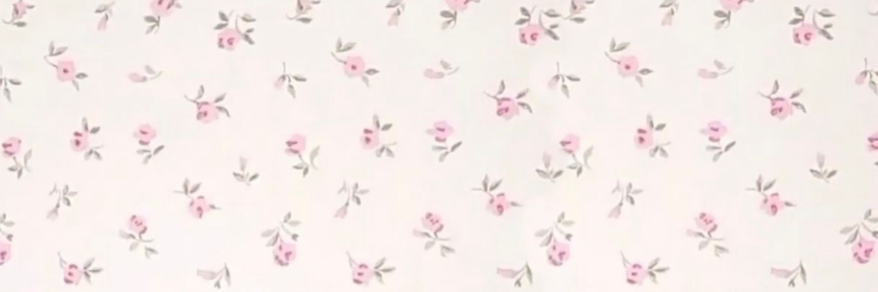 ୨۪୧  ִ   𝑨𝒏𝒂  🌸 ֹ  ◌