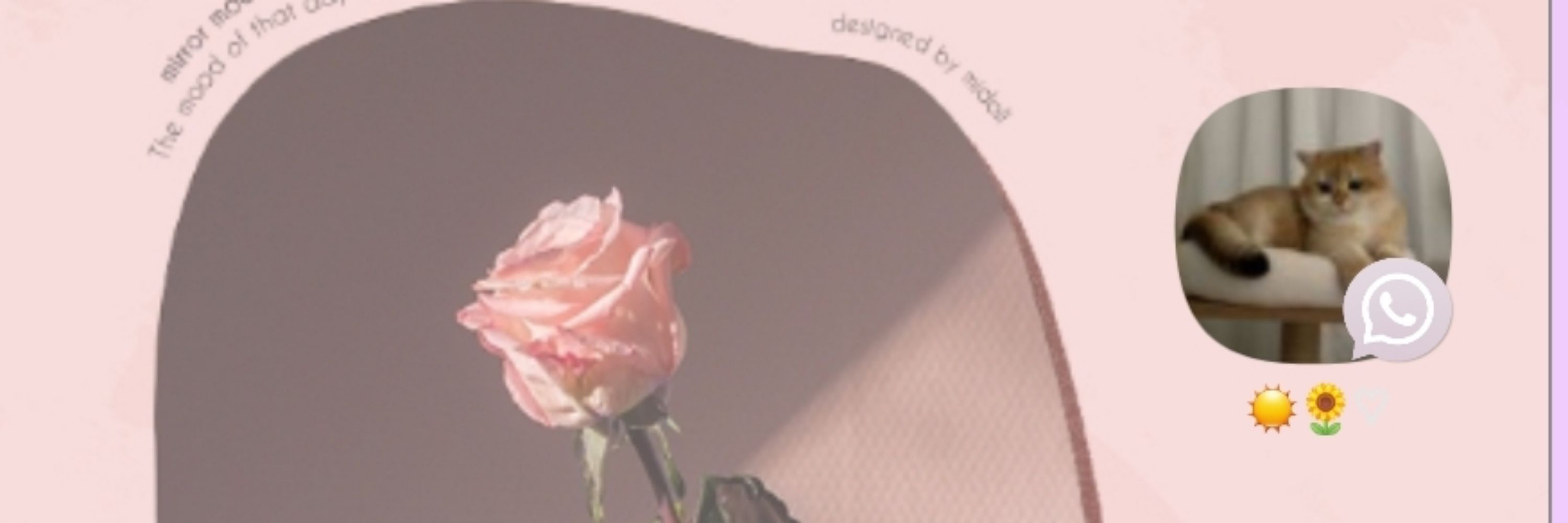 ells˚˖𓍢ִ໋^᪲᪲᪲