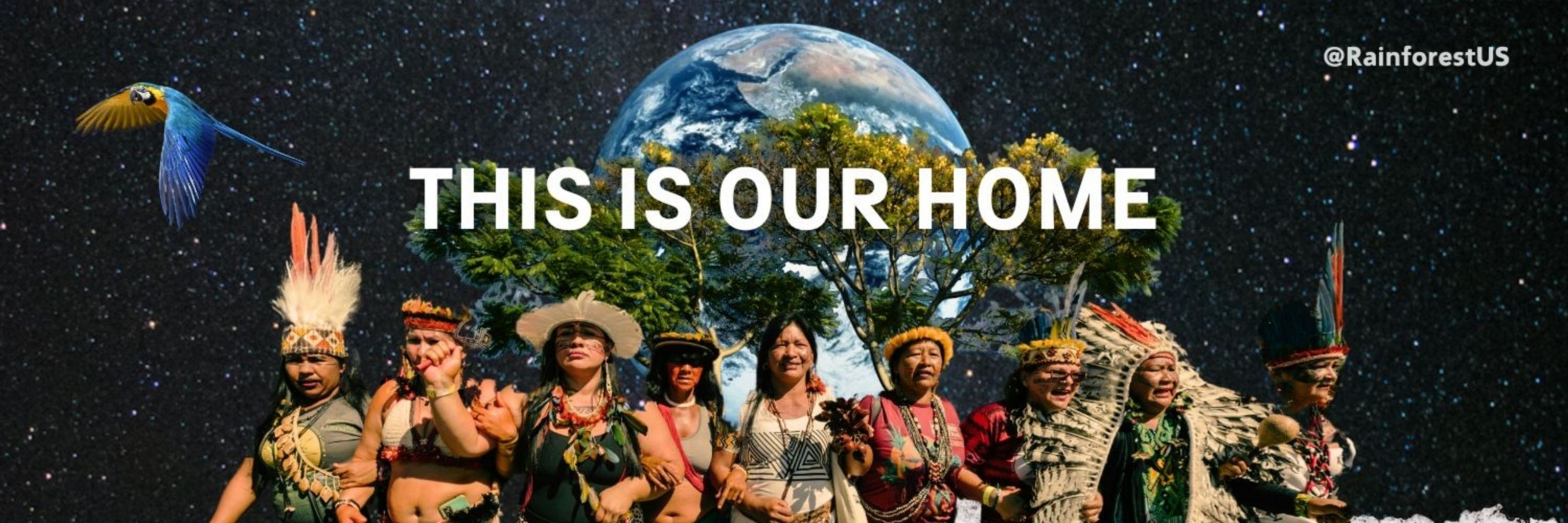 Rainforest Foundation US