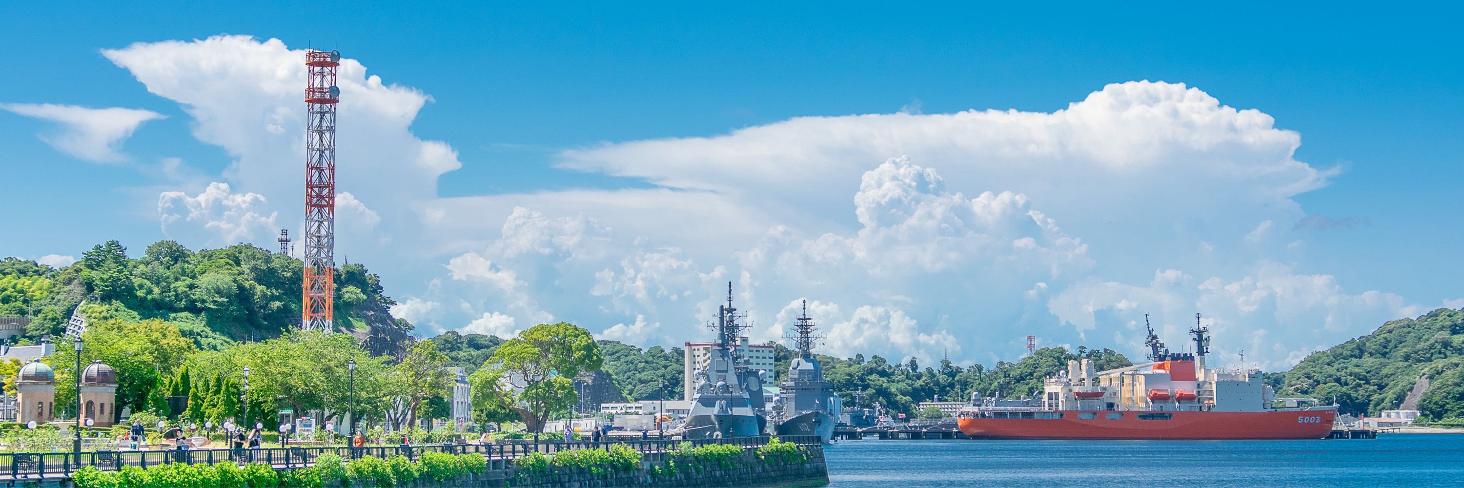アルザス