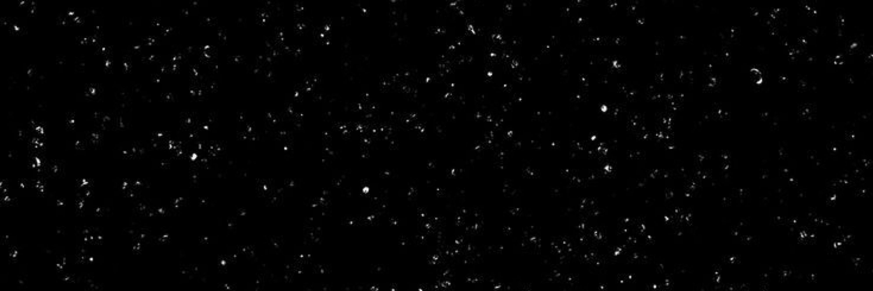 ⭐️